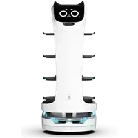Robot Autonomi Professionali